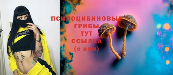 не бодяженный Арсеньев