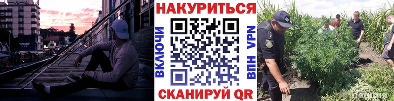 где купить   Сокол  Шишки марихуана VHQ 